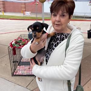 Meet your Posher, Joan